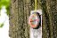 ax5QpZvi7gBA0SERLlFgNxtMF