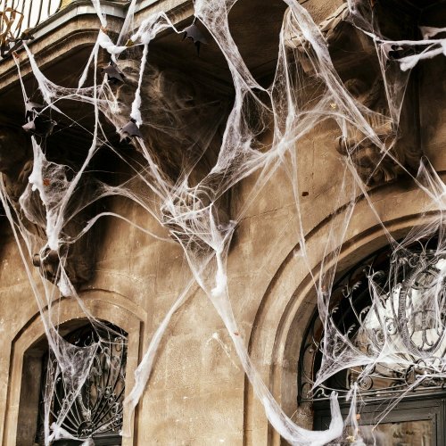 Artificial web + 2 spiders
