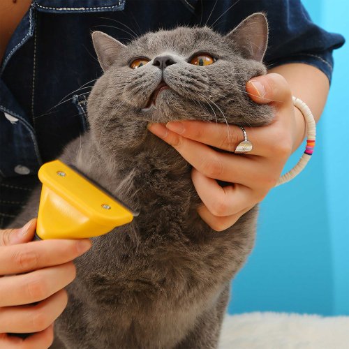 Bàn chải chải lông chó mèo - cắt tỉa lông màu vàng, 10 cm