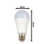 Dimmable LED RGBW bulb A60 with remote control E27 / 9W / 230V