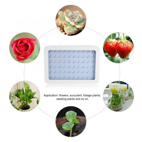 Hanging LED lamp for plants