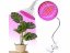 LED lampa pre rast rastlín