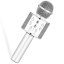 Bezdrátový karaoke mikrofon WS-858 - Stříbrný