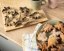 DINOSAURS cookie cutters, 6 pcs