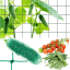 Garden net for climbing plants 2 x 20 m
