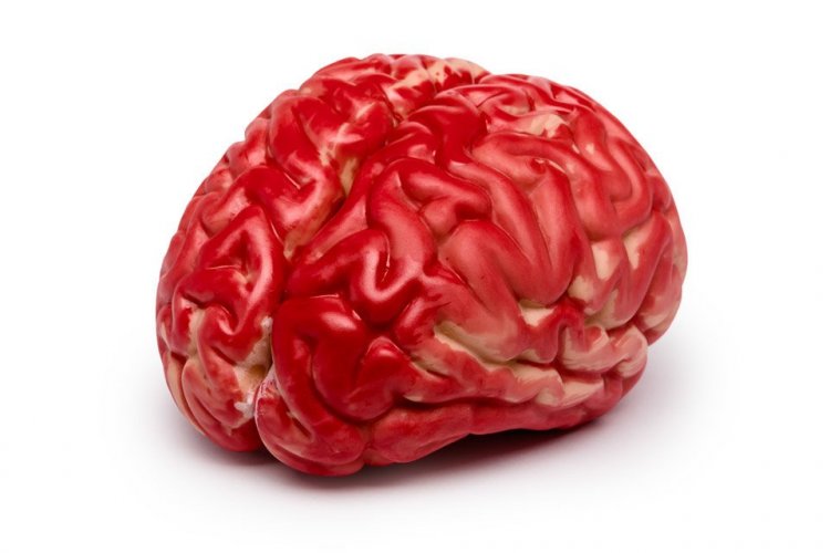 Artificial brain