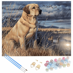 Maľba podľa čísel 40x50 cm - Labrador