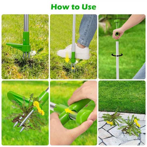Root weed remover