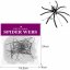 Artificial web + 2 spiders