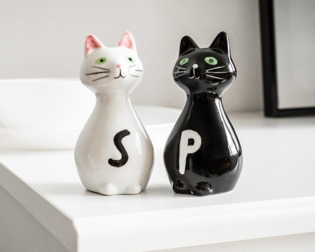 Salt and pepper shakers - CATS