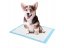 Training mats for animals - 60x60 cm/100pcs