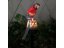 Lampa solarna LED papuga - 42 cm