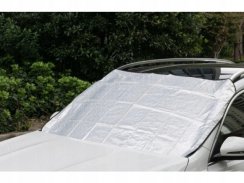 Anti-frost windscreen visor