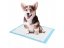 Training mats for animals - 33 x 45 cm/100pcs