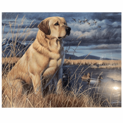 Maľba podľa čísel 40x50 cm - Labrador