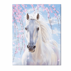 Maľba podľa čísel 30x40cm - Kôň