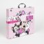 Painting set in a Minnie Mouse case