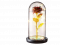 Věčná červeno-zlatá růže ve skle se světlem