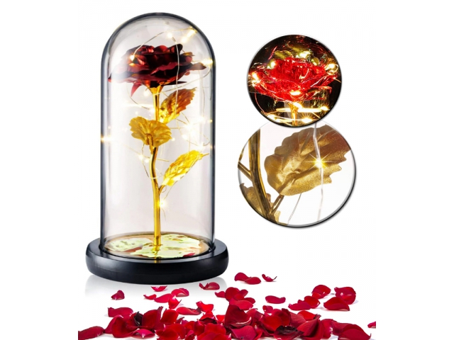 Eternal red and gold rose in glass with light