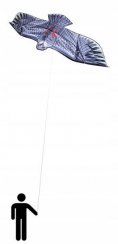 Large flying kite - Eagle 200x83cm