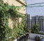 Garden net for climbing plants 2 x 20 m