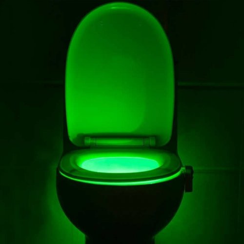 Toilet light with motion sensor