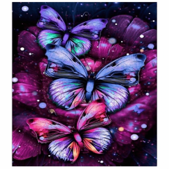 Maľba podľa čísel 30x40cm - Motýle