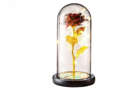 Eternal rose in glass with light