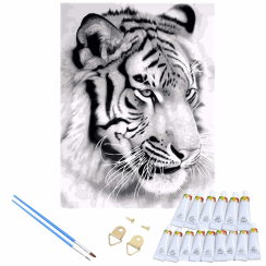 Maľba podľa čísel 30x40 cm - Tiger