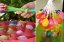 Balonowe bomby wodne 111 szt.