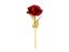 Perpetual rose with golden stem in a box