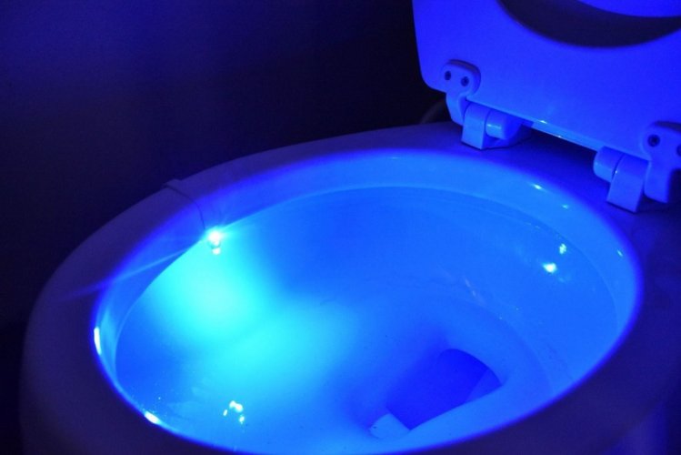 Toilet light with motion sensor