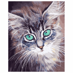 Maľba podľa čísel 30x40 cm - Malá mačka