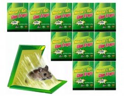 Strong glue for mice - 10pcs