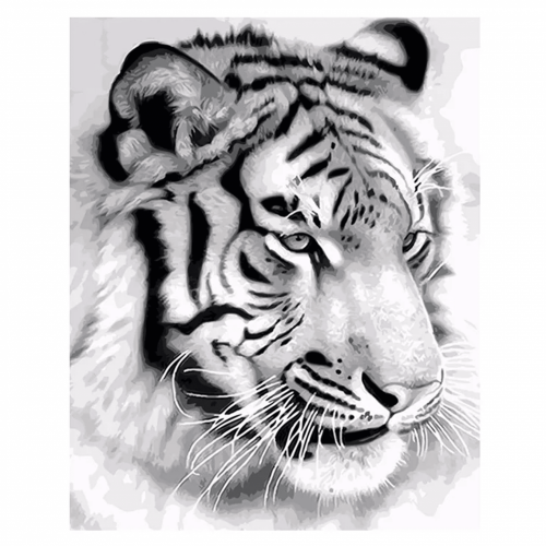 Malowanie liczbami 30x40 cm - Tygrys