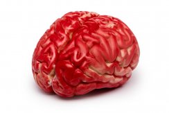 Umělý mozek