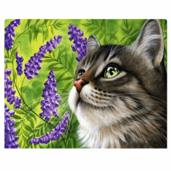 Maľba podľa čísel 30x40 cm - Mačka na poli