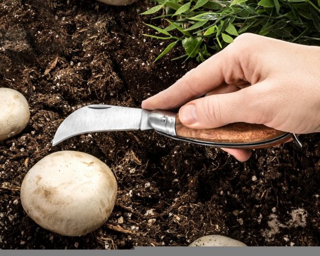 Záhradný a hubársky nôž v tvare srpu