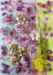 Purple Flowers 1000 pieces - SCHMIDT