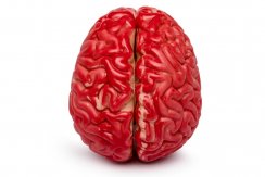 Umělý mozek