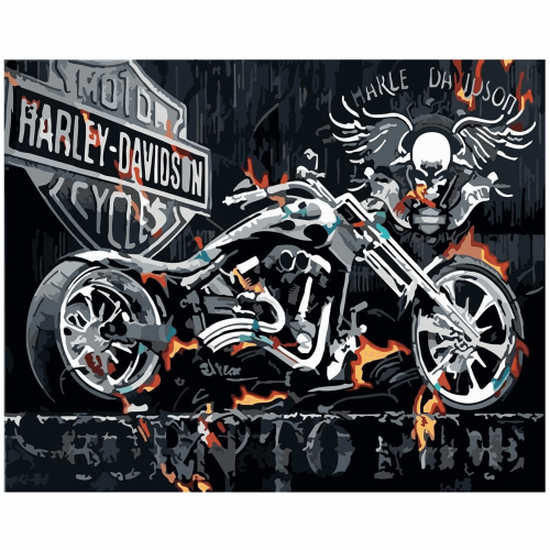 Obraz według numerów 40x50 cm - Motocykl Harley Davidson