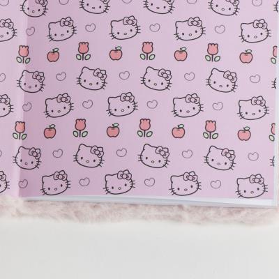 Plyšový zápisník Hello Kitty
