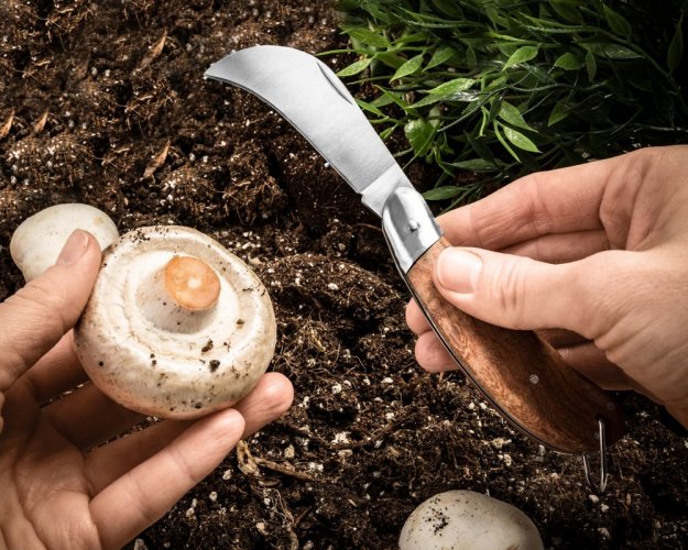 Nóż ogrodniczy i do grzybów w kształcie sierpa