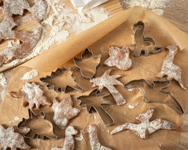 DINOSAURS cookie cutters, 6 pcs